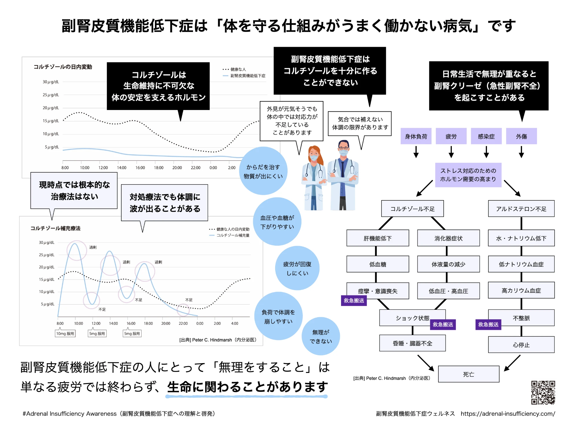 副腎皮質機能低下症は「体を守る仕組みがうまく働かない病気」です（コルチゾールの日内変動、補充療法、副腎クリーゼに至る流れの図解）