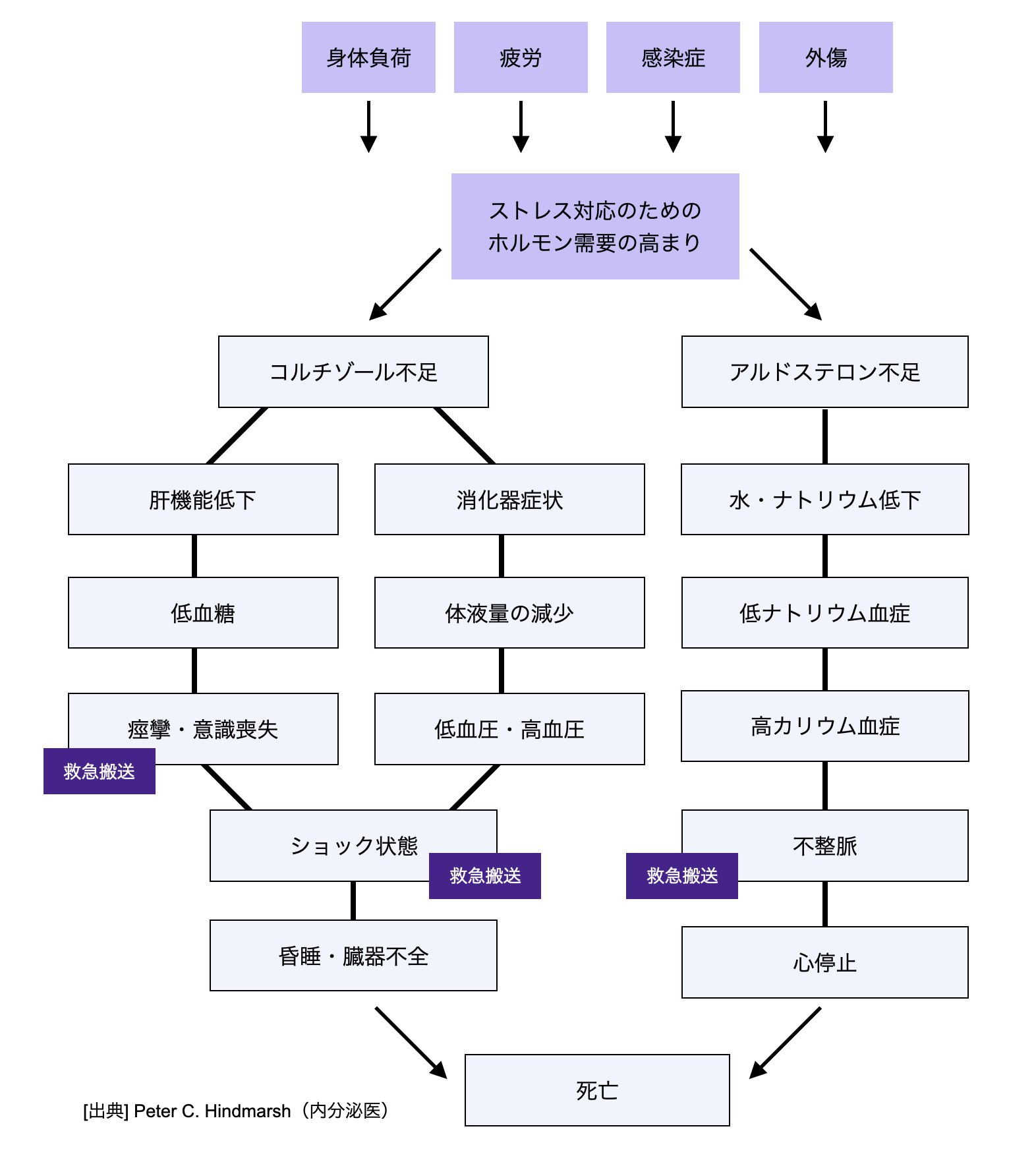 資料